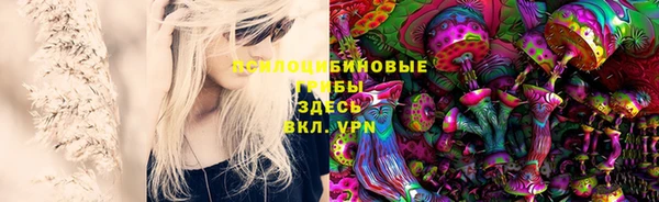 шишки Волосово