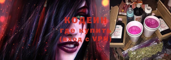 шишки Волосово